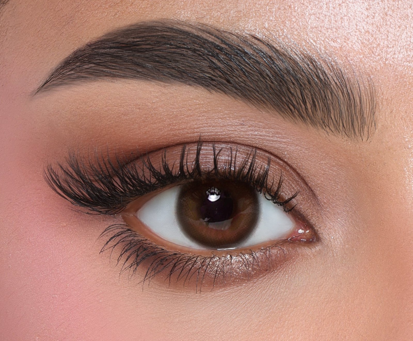 Paris Wood Brown